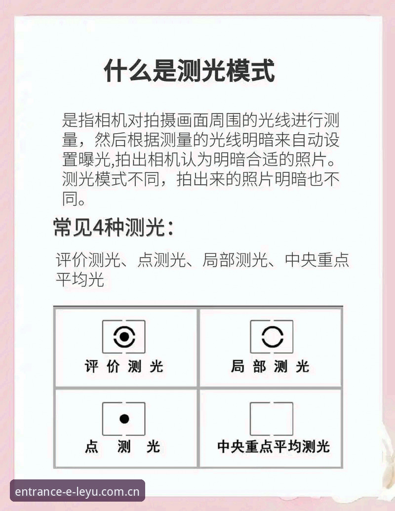 老用户实测指南：乐鱼体育平台从注册到提现的完整操作细节